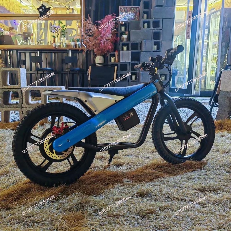 16 inch elektrische loopfiets  - Kids Ride On Suitcase Scooter recensie en prijs